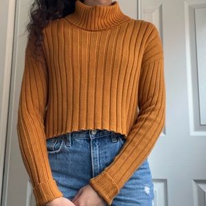 Knit Turtle Neck